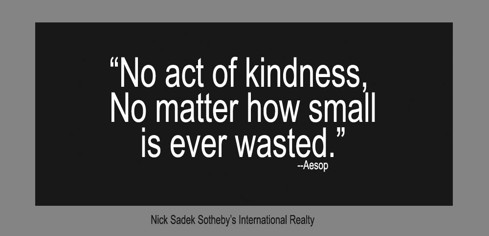 Quote "No act of kindness, no matter how small is ever wasted." - Aesop