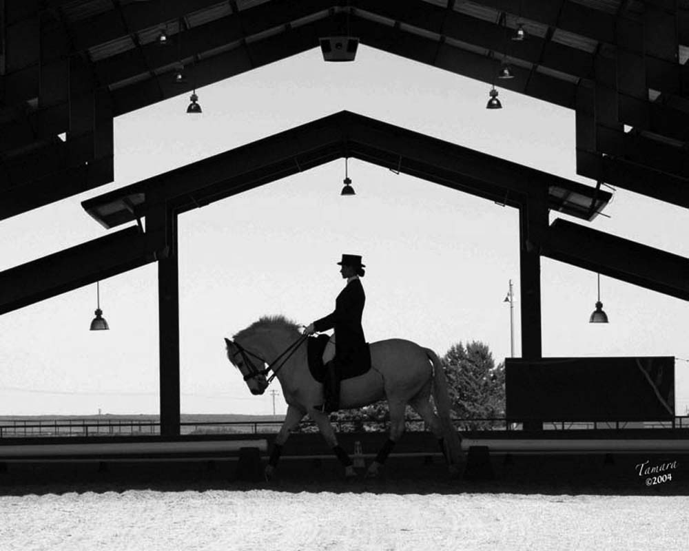 Equestrian show at Starr Vaugn equestrian center in Sacramento under the cover patio