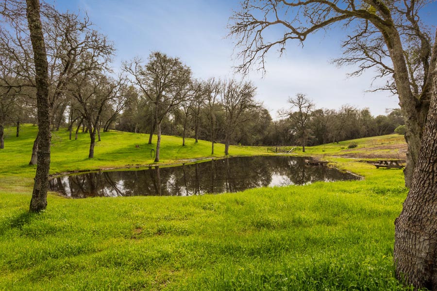 Lincoln, CA Estate includes pond, oaks and rolling hills