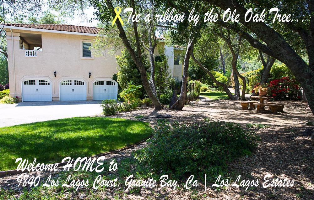 Ole Oak Trees in Los Lagos Estates with sitting area