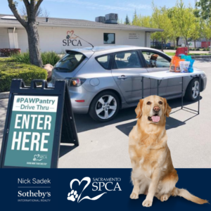 SPCA PROMO